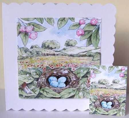 Trinitage - Nesting by Margaret McCartney