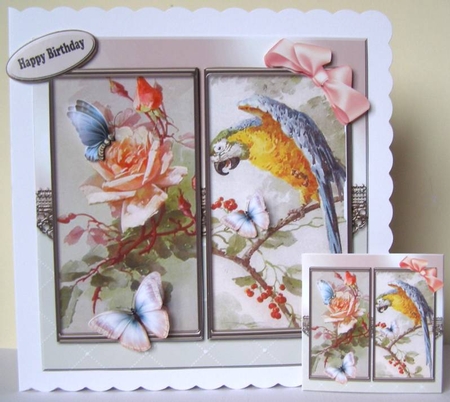 Parrot and roses by Margaret McCartney