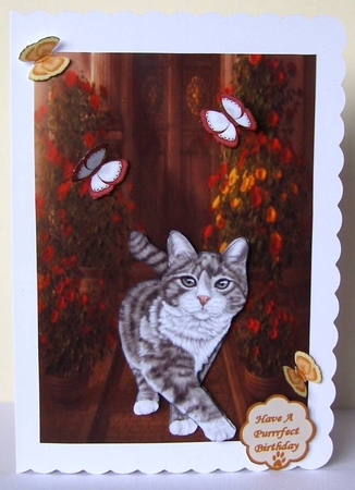 Here Comes Little Miss Fluffy McMittens by Margaret McCartney