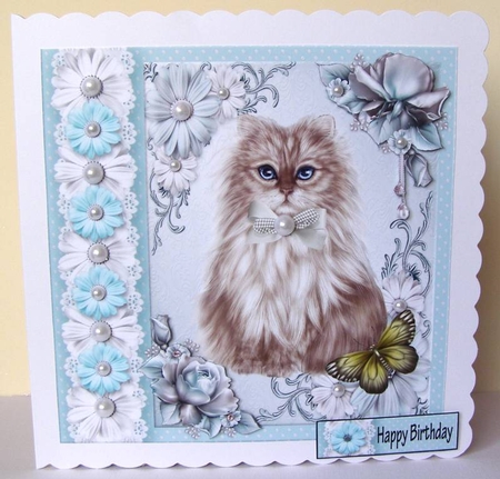 1 Classy Cat by Margaret McCartney