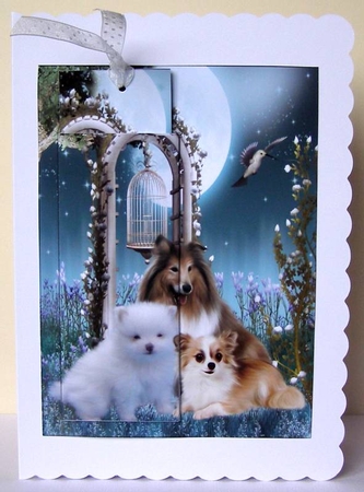 Pocket Bookmark Gorgeous Dogs by Margaret McCartney