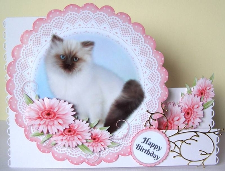 Cat Scolloped Topper 6 by Margaret McCartney