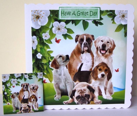 Smile for the camera, cute dogs 8x8 by Margaret McCartney