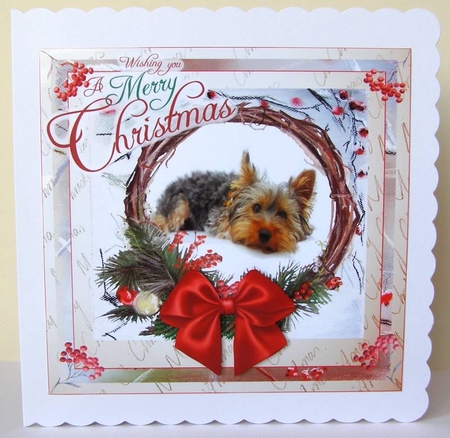 WAITING FOR CHRISTMAS YORKIE 2 by Margaret McCartney