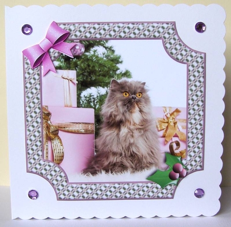 JJ PETS LOVE CHRISTMAS TOO CAT WITH GIFTS 8X8 by Margaret McCartney