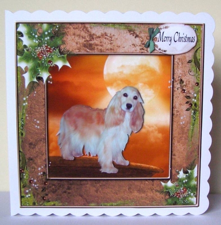 Christmas Spaniel by Margaret McCartney