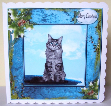 Christmas Black Cat by Margaret McCartney