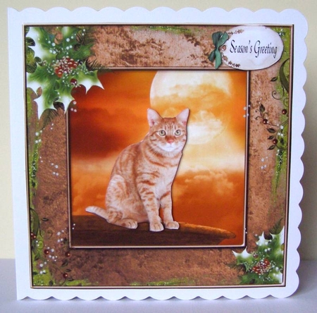 Cute Christmas Cat Featured Gallery Photo
