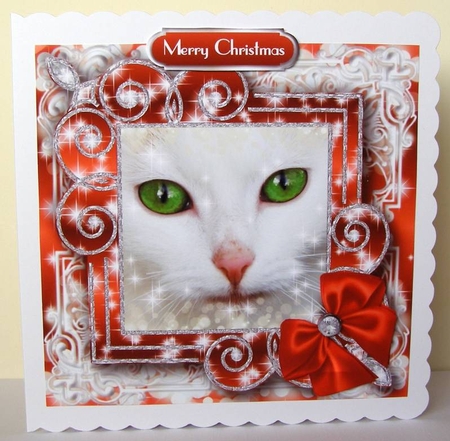 Festive Felines 8 by Margaret McCartney
