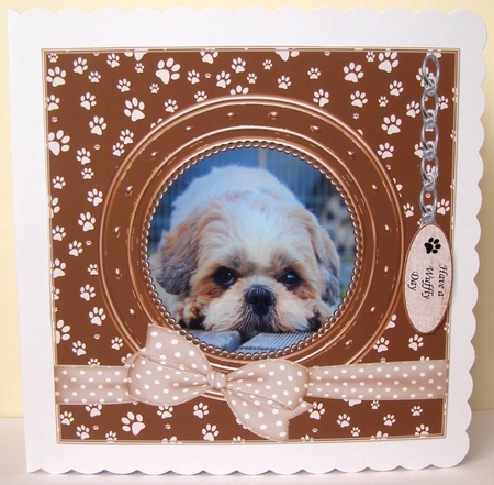 SHIHTZU THANK YOU AND VARIOUS OTHER SENTIMENTS by Margaret McCartney