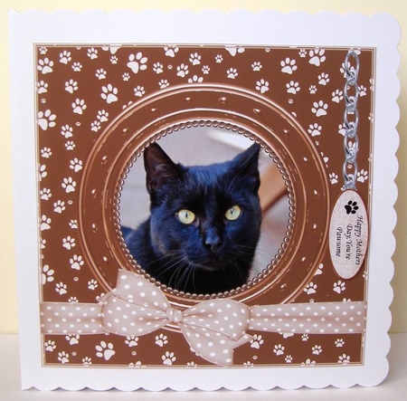 BLACK CAT THANK YOU AND VARIOUS OTHER SENTIMENTS by Margaret McCartney