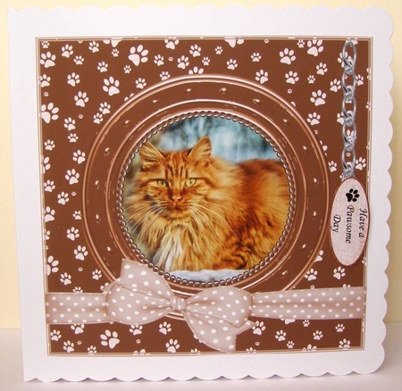 GINGER CAT THANK YOU AND VARIOUS OTHER SENTIMENTS by Margaret McCartney