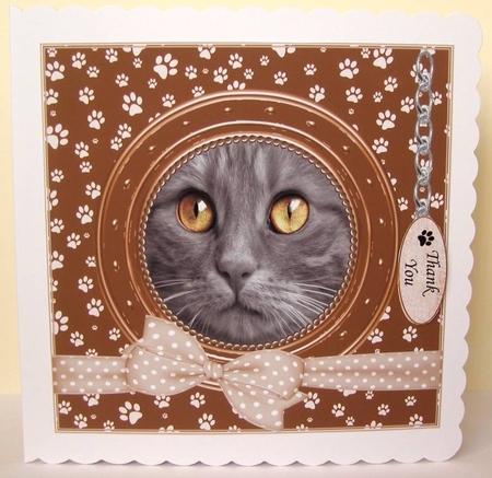 GREY CAT THANK YOU AND VARIOUS OTHER SENTIMENTS by Margaret McCartney