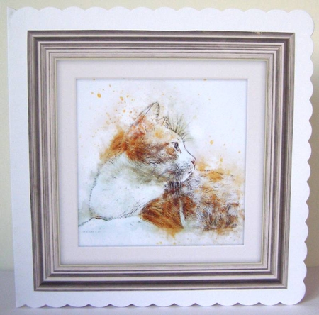 10 Cat 8x8 Cardfronts / Toppers Bumper Pack by Margaret McCartney