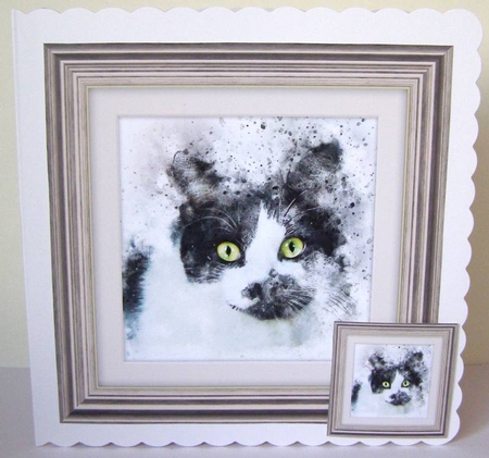 10 Cat 8x8 Cardfronts / Toppers Bumper Pack by Margaret McCartney
