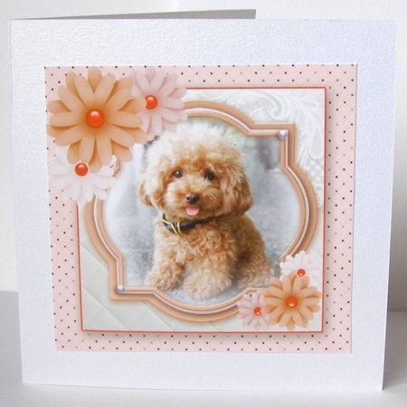 Birthday Female Quick card by Margaret McCartney