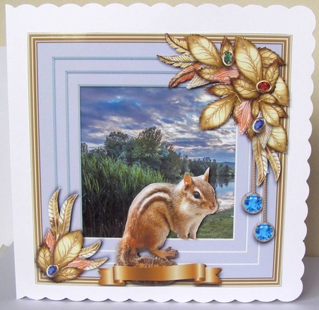 Wildlife Stepping Out Multipack B by Margaret McCartney