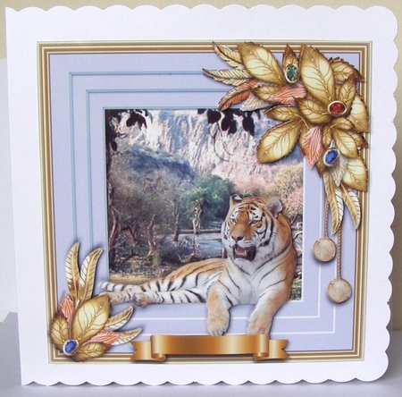 Wildlife Stepping Out Multipack B by Margaret McCartney