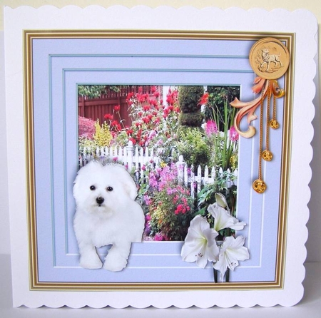 Stepping out Year of the Dog D by Margaret McCartney