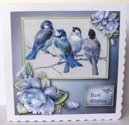 Beautiful Birds Bumper Kit by Margaret McCartney