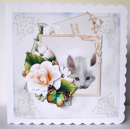 Pure Joy Pocket Card 3 by Margaret McCartney