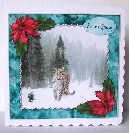 Snow Leopard by Margaret McCartney