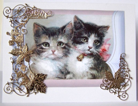 Vintage Kittens  by Margaret McCartney