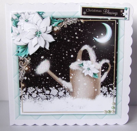 The Snow Covered Garden by Margaret McCartney