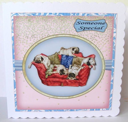 ITS A PUGS LIFE by Margaret McCartney