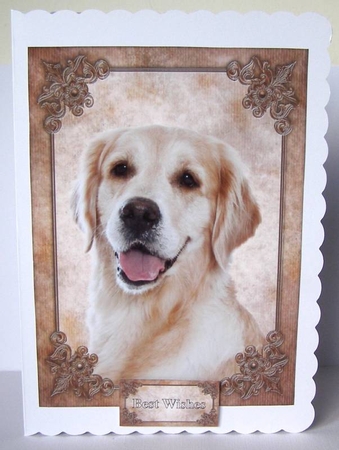 Golden Retriever Card Front, Topper & Sentiment Tags by Margaret McCartney