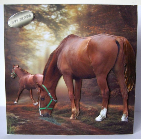 forest horses by Margaret McCartney