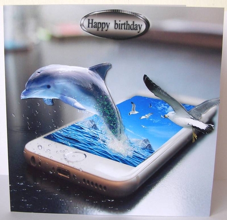 dolphin and phone  by Margaret McCartney