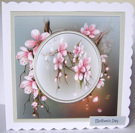Cherry Blossom by Margaret McCartney