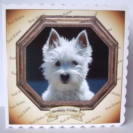 HEXAGON CATS & DOGS WESTIE by Margaret McCartney