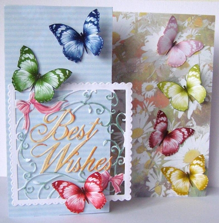 Pioneer Butterflies 5 by Margaret McCartney