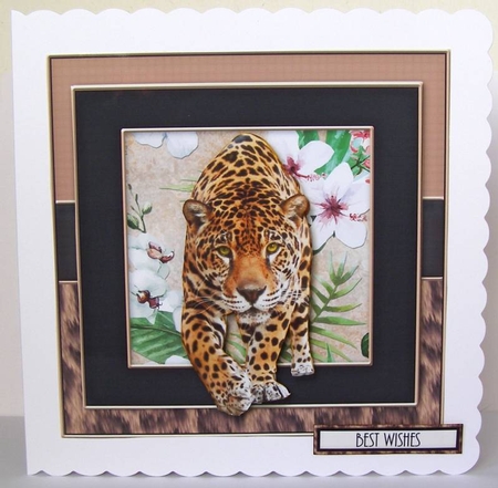 Roar 1 by Margaret McCartney
