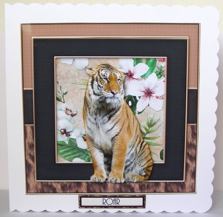Roar 2 by Margaret McCartney