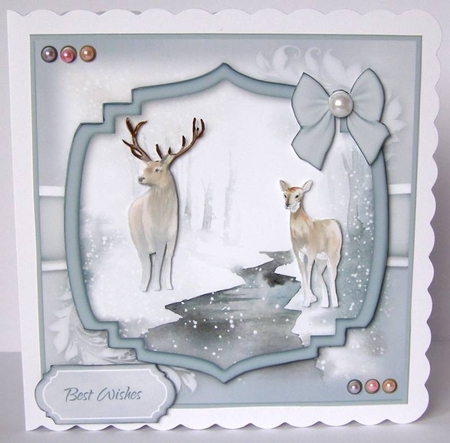 Mr and Mrs Deer by Margaret McCartney