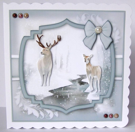 Mr and Mrs Deer by Margaret McCartney