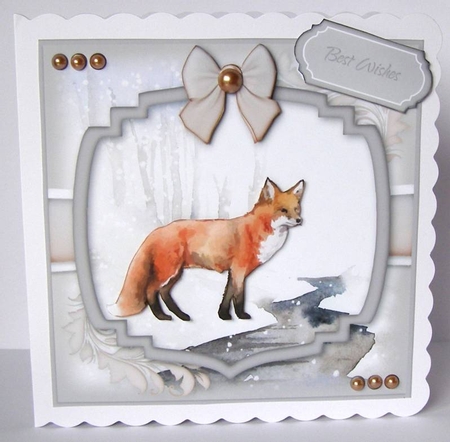 Mr Fox by Margaret McCartney