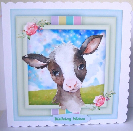 Beautiful Little Calf by Margaret McCartney