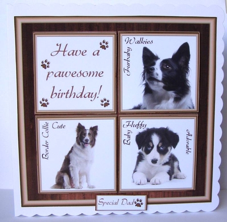 Gorgeous Border Collie Cubes 8x8 Mini Kit by Margaret McCartney