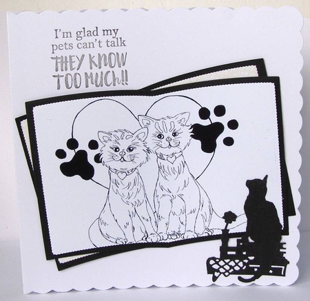 two cute cats by Margaret McCartney