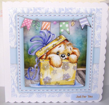 Teddie in a Box  by Margaret McCartney