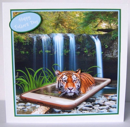 IN THE JUNGLE by Margaret McCartney