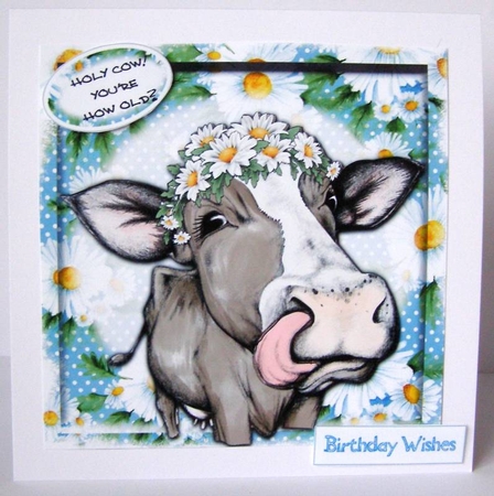 Holy Cow! Youre How Old? by Margaret McCartney