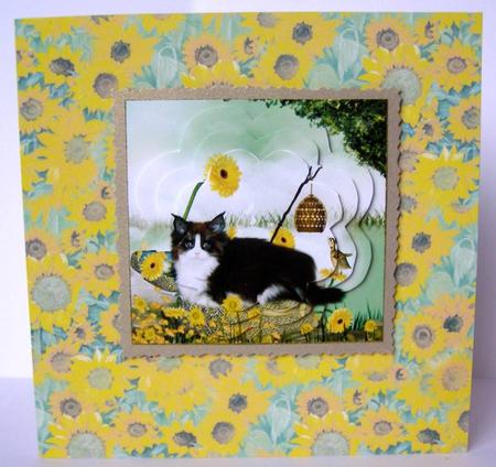 Fluffy Friends by Margaret McCartney