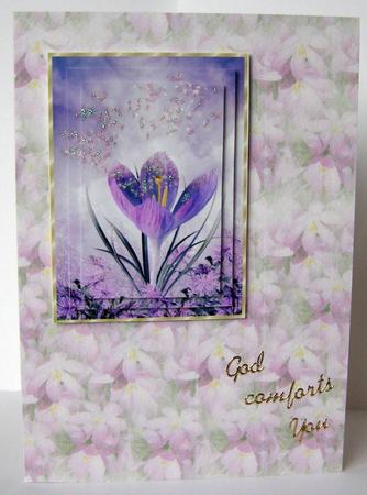 Crocus Vellum by Margaret McCartney