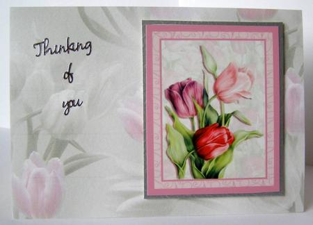Misty Tulip Black, White & Pink Background by Margaret McCartney