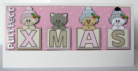 Purrfect Xmas Large Dl by Margaret McCartney